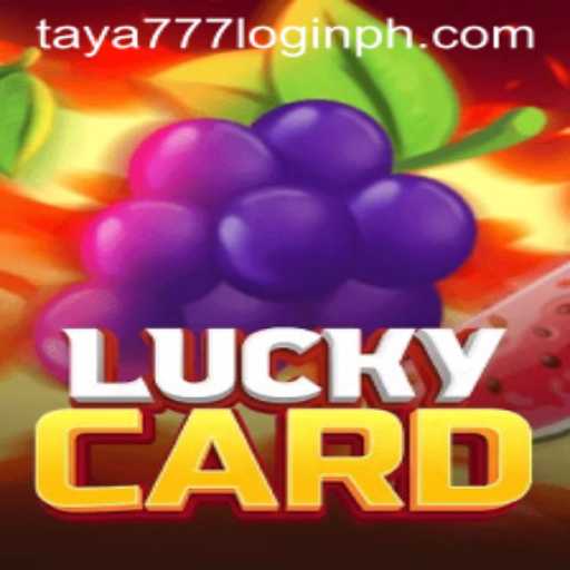 Exploring LuckyCard: A Modern Twist on Card Gaming